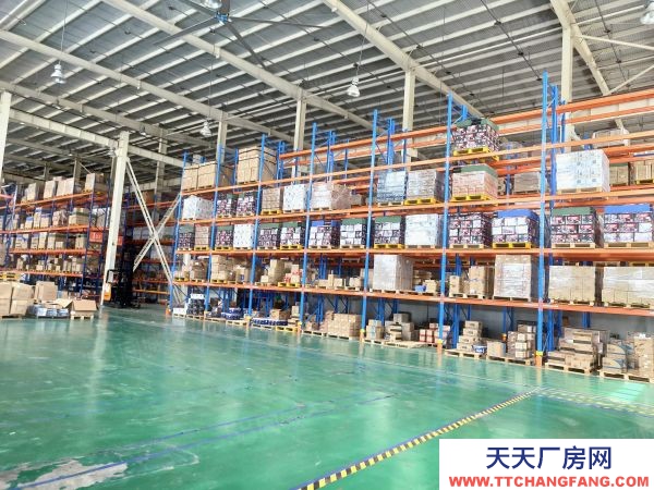 南京市棲霞新港12000平獨門獨院。全單層鋼架結構有航車