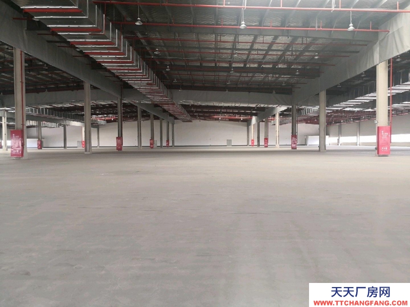 重慶涪陵全新產業園倉庫廠房租賃