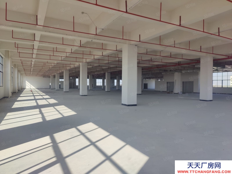 (出租) 增城太平洋大型工業園21000方小100平方起分可辦環評