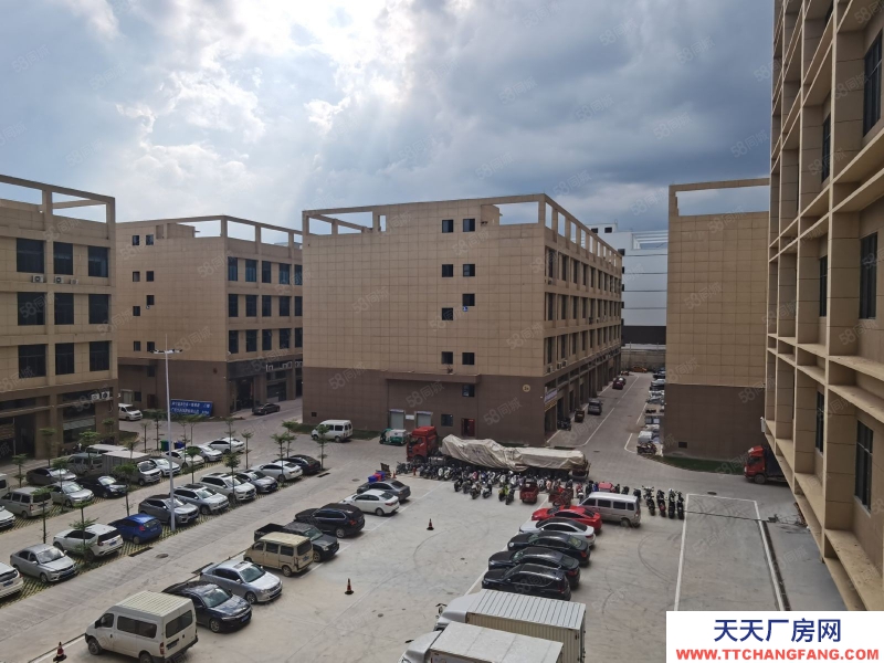 南寧市西鄉塘區(出租) 標準廠房租售同步，層高56米，面積300起，行業不限！