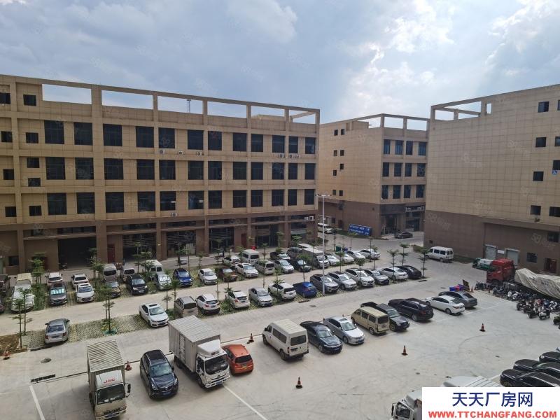 南寧市西鄉(xiāng)塘區(qū)(出租) 標(biāo)準(zhǔn)廠房租售同步，層高56米，面積300起，行業(yè)不限！