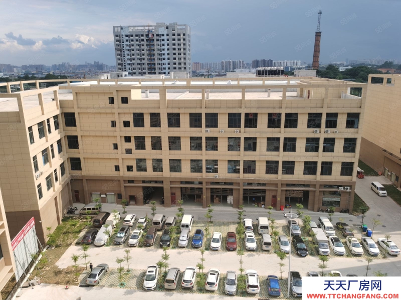 南寧市西鄉塘區(出租) 標準廠房租售同步，層高56米，面積300起，行業不限！