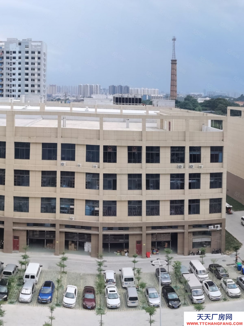 南寧市西鄉塘區(出租) 標準廠房租售同步，層高56米，面積300起，行業不限！