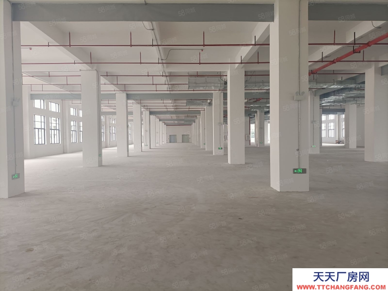 (出租) 廣州新塘大型園區廠房。丙二類消防!可整租。可分租。證件齊全。