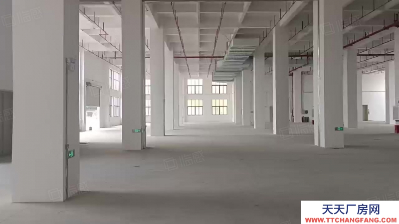 (出租) 廣州新塘大型園區廠房。丙二類消防！可整租。可分租。證件齊全。