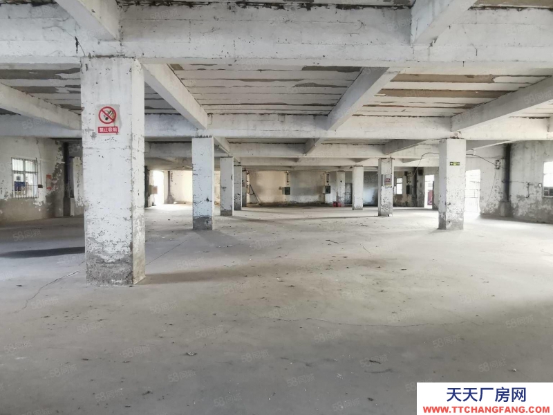 重慶涪陵順江大道養生鴿對面倉庫出租