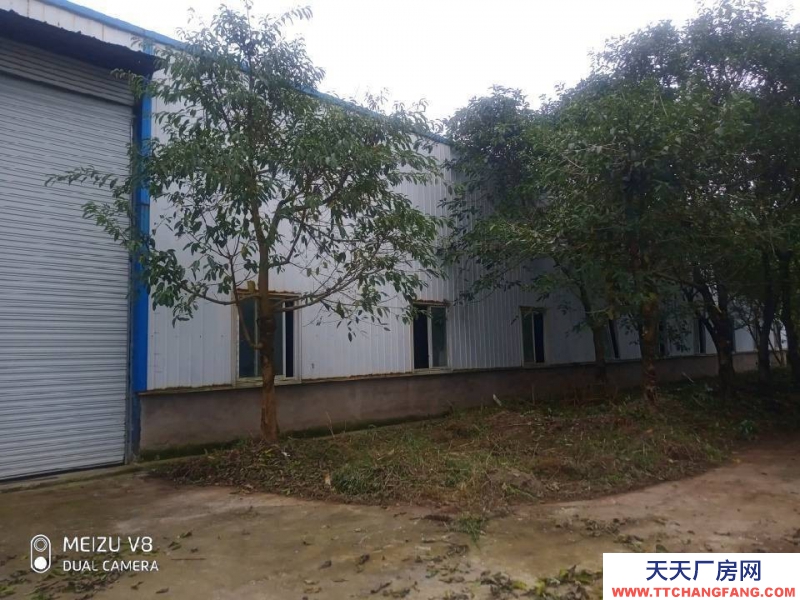 重慶長壽葛蘭鎮(zhèn)庫房2500平米