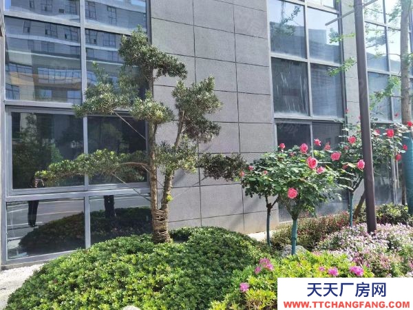 南京市棲霞區仙新路過江隧道口 地鐵廠房 小面積獨棟 7.6米層高