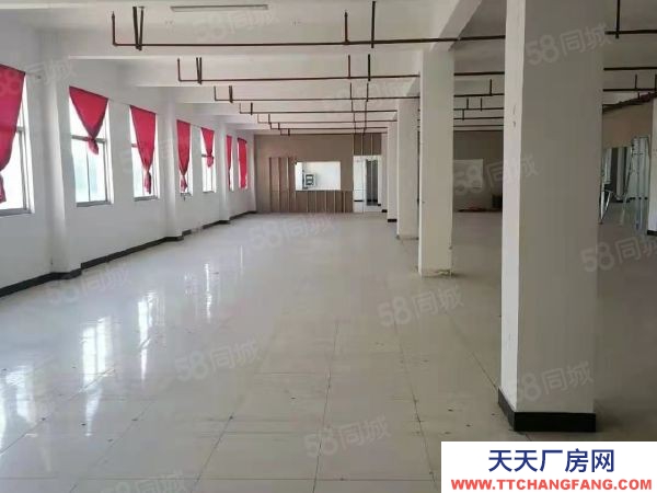 南京市棲霞恒競路獨棟廠房 兩證齊全 層高4.5米 適合電子 電商