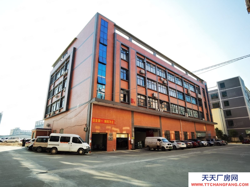 (出租) 增城區(qū)新塘鎮(zhèn)獨(dú)院標(biāo)準(zhǔn)廠房倉(cāng)庫(kù)出租6000平方交通方便價(jià)格優(yōu)惠