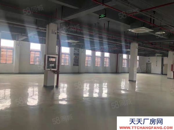 南京市 棲霞新港開發(fā)區(qū)獨(dú)棟廠房工業(yè)用地兩證齊全層高8米