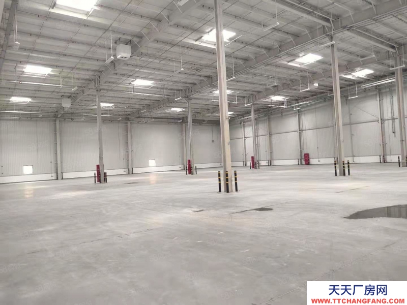 (出租) (平價庫房)于洪庫房6000,價格優可操作,手續齊全