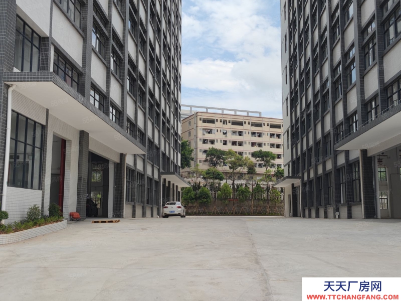 (出售) 1600元起售帶紅本廠房出售可按揭享受政府補貼政策