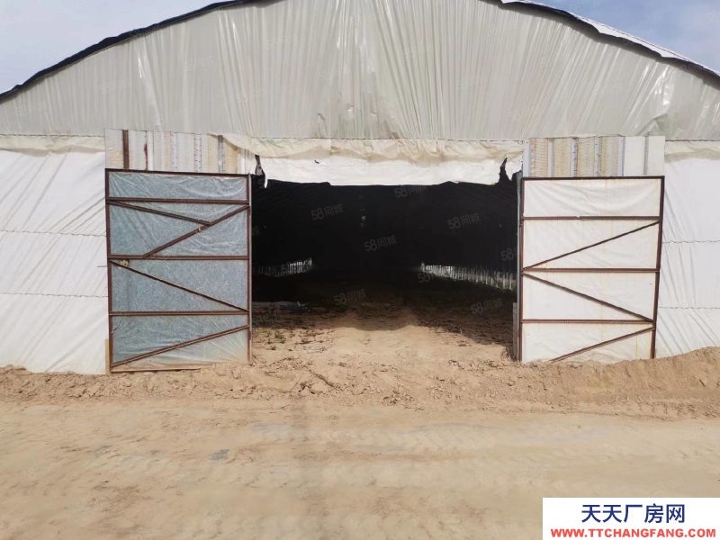 石家莊 欒城區 新趙線 南高鄉 1000平 廠房出租