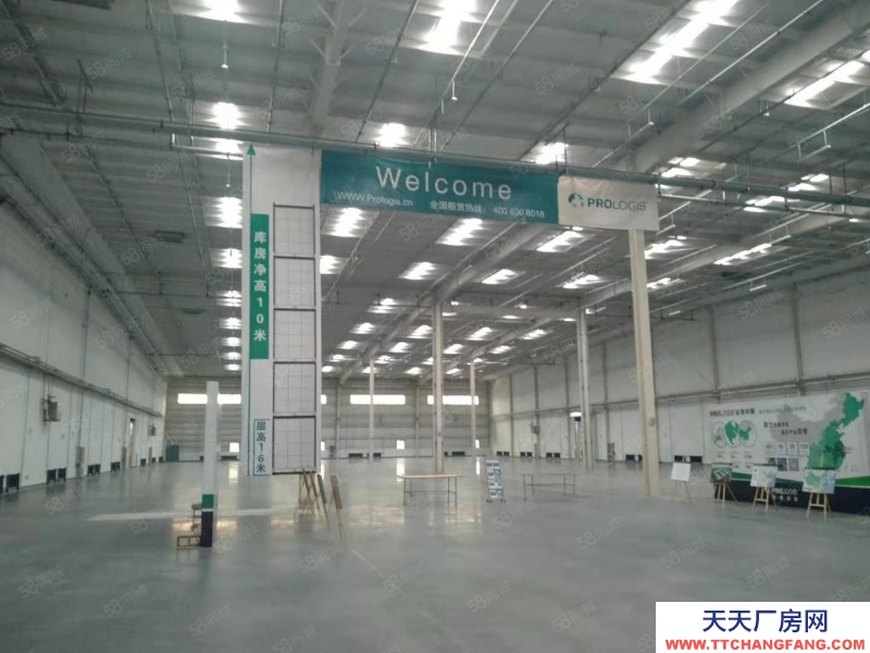 (出租) 出租 v于洪高標庫，1500平起租，交通便利