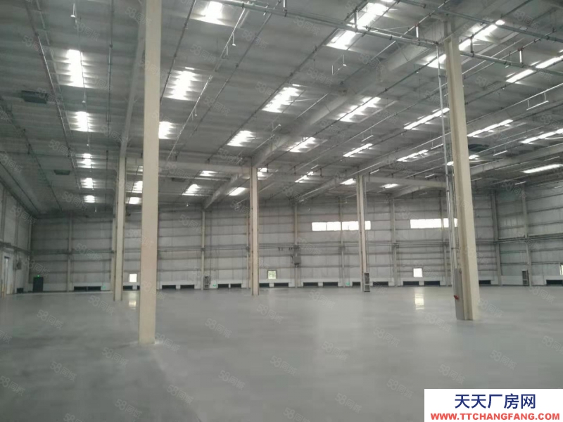 (出租) 出租 v于洪高標庫，1500平起租，交通便利