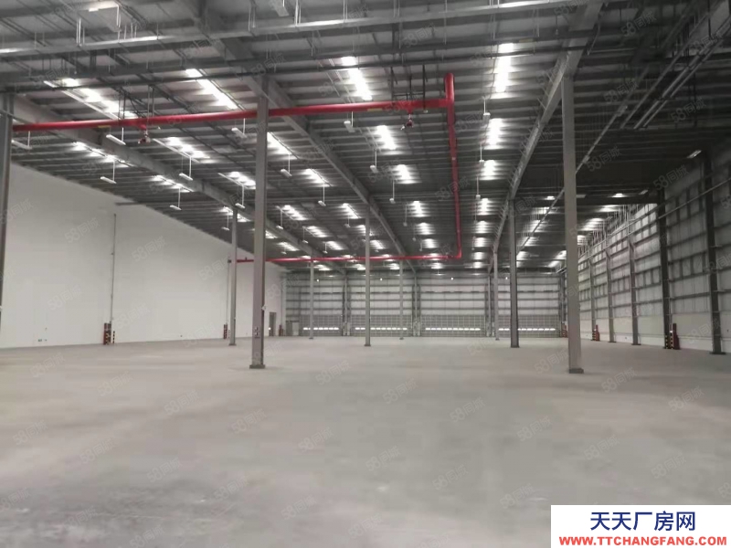 (出租) 出租 v于洪高標庫，1500平起租，交通便利