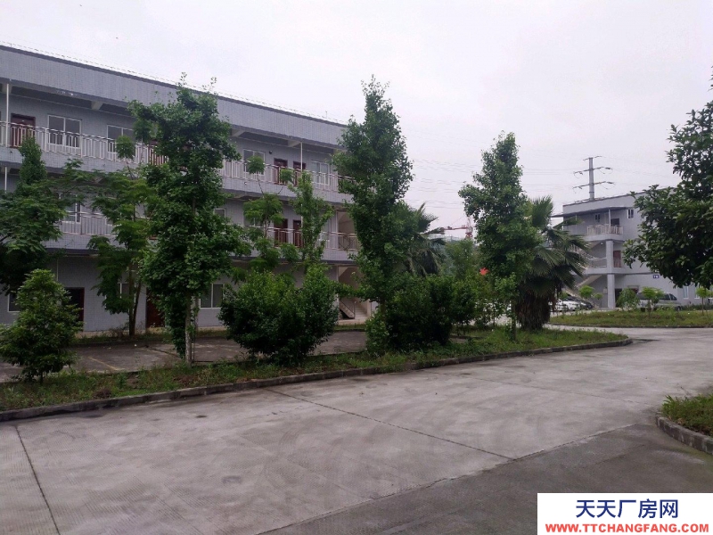 重慶榮昌大道邊交通便 配套辦公宿舍 層高11米 環境好