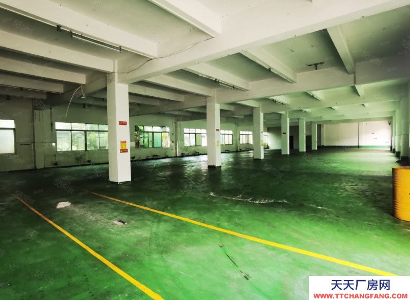 (出售) 出售 業(yè)主誠意出售!新塘國有紅本廠房出售8000平方產(chǎn)權(quán)清晰