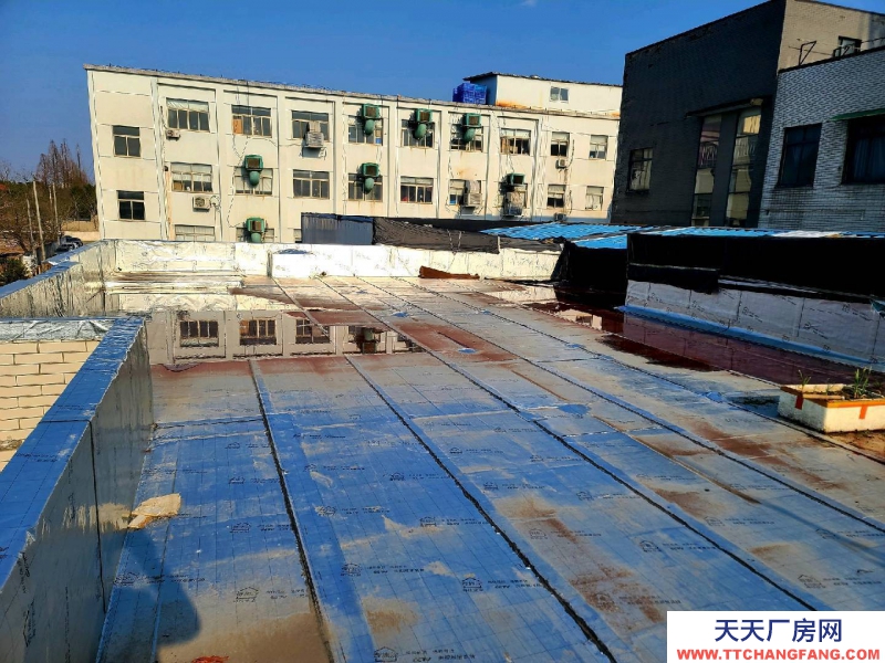 杭州西湖一到三樓整棟共3千方可做倉庫電商直播辦公輕工業也可以分租