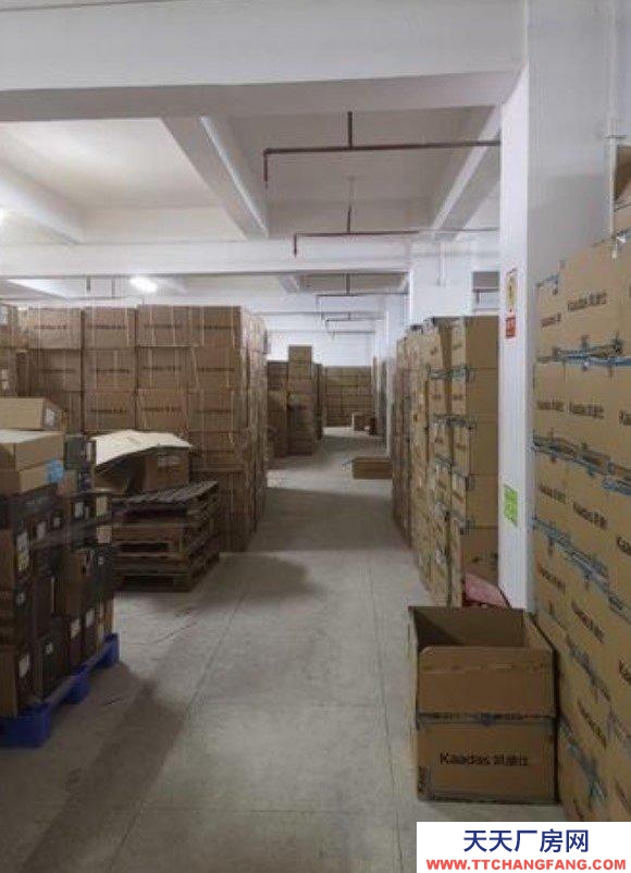 (出租) 福州臺(tái)江房東直租中亭街天華地庫(kù)可用于倉(cāng)庫(kù)使用