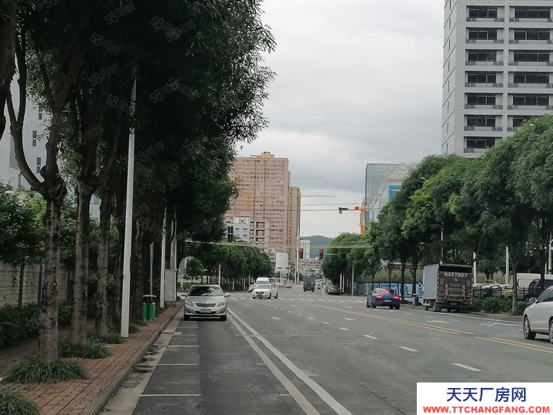 南寧市西鄉塘區(出租) 全新標準廠房倉庫，500平起，可租可售，有一樓！有補貼