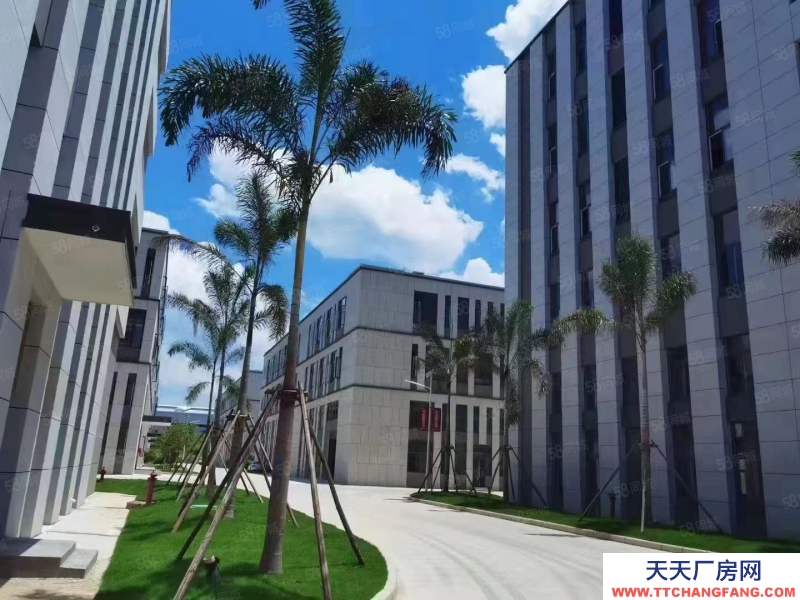 濟南天橋單層框架廠房！500平！手續齊全可辦證！