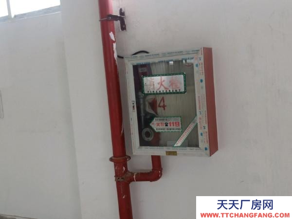 南京市棲霞區堯化門個人房源，1900平方米倉庫出租，可分租。