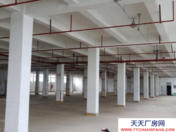 南京市棲霞區堯化門個人房源，1900平方米倉庫出租，可分租。