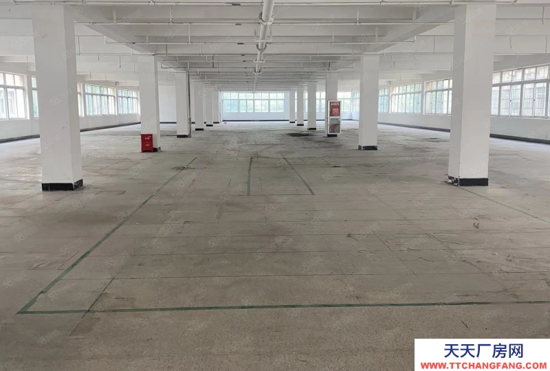 杭州西湖科技園 純一樓1380方廠房 可做快遞行業