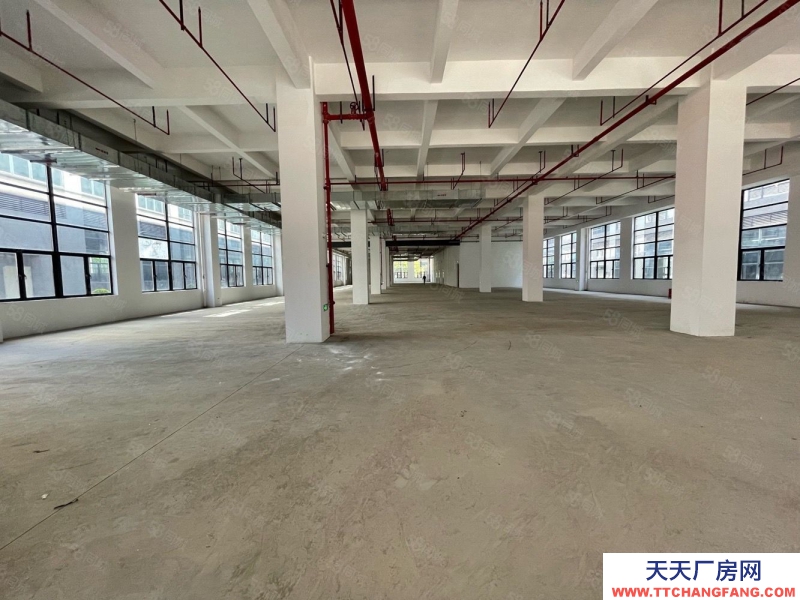 (出租) 黃埔區4S店，新能源場地5000平招租，證件齊全可鈑噴