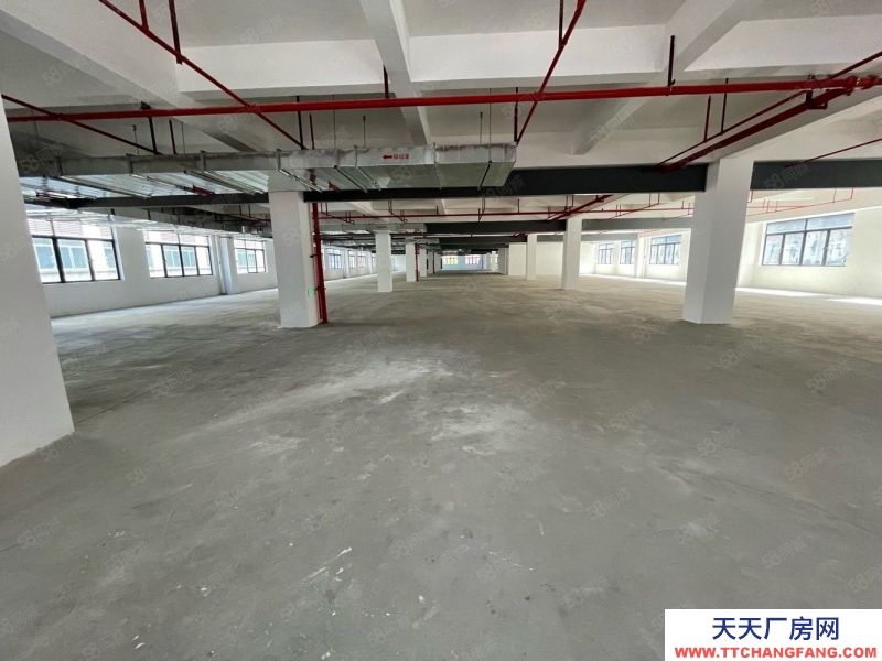 (出租) 黃埔區4S店，新能源場地5000平招租，證件齊全可鈑噴