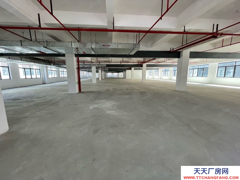 (出租) 黃埔區4S店，新能源場地5000平招租，證件齊全可鈑噴