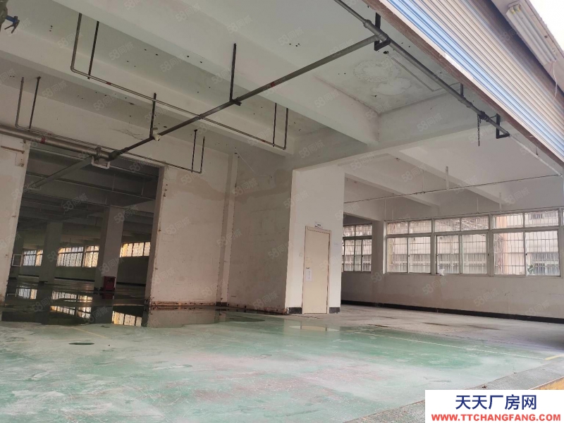 杭州西湖三墩 7250平整棟廠房出租 可分割單層出