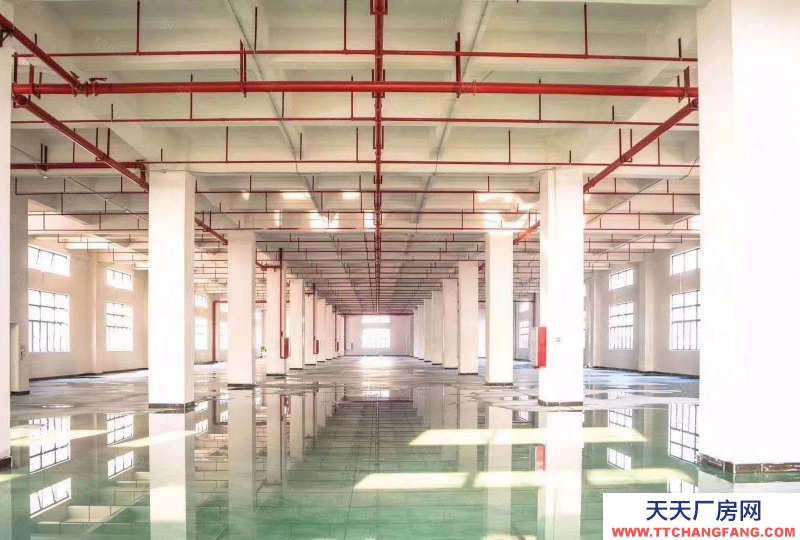 (出租) 無公攤原房東 黃埔區開創大道附近8000平獨棟高薪園區出租