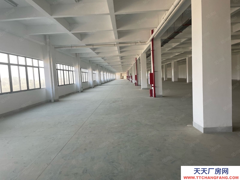 (出租) 福州福清城頭標準廠房整棟5200平出租,鞋廠家具,鋼構1500