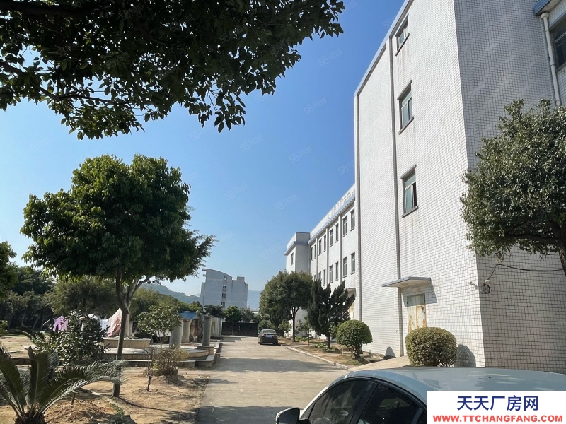 (出租) 福州福清城頭標準廠房整棟5200平出租,鞋廠家具,鋼構1500