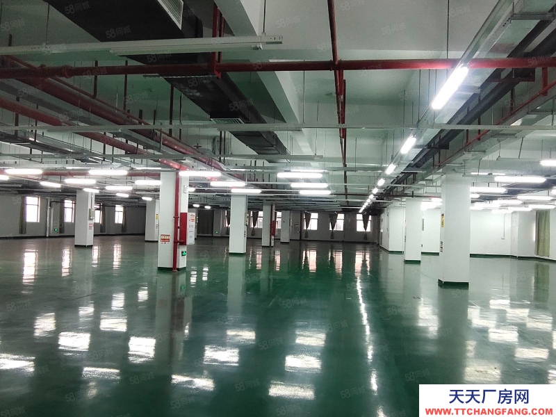 (出租) 開發區科技園廠房辦公室可做生物醫藥電子研發組裝倉庫檢測等行業