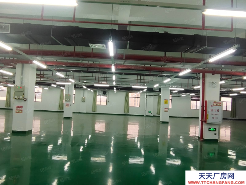 (出租) 開發區科技園廠房辦公室可做生物醫藥電子研發組裝倉庫檢測等行業