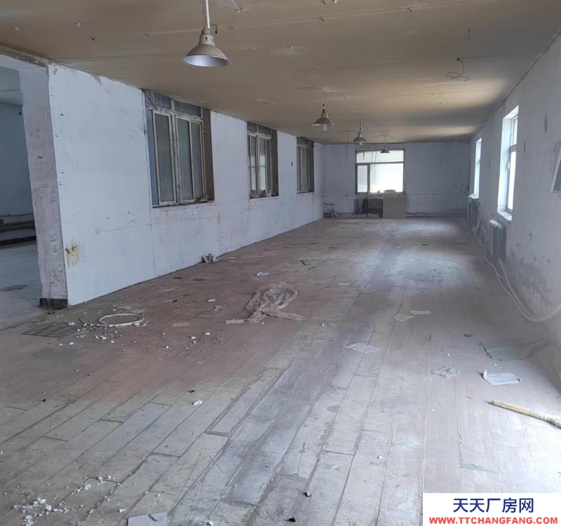 (出租) 樓上樓下，樓上人，可當宿舍！