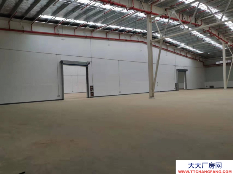 (出租) 南昌紅谷灘新區紅角洲望城附近廠房帶辦公