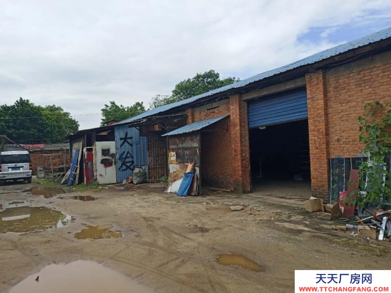 (出租) 南昌紅谷灘新區(qū)倉庫廠房便宜出租