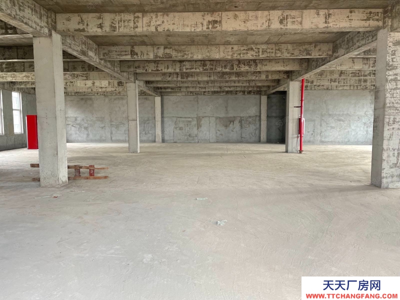 (出售) 南昌紅谷灘新區8.1米層高 花園式獨棟廠房 生活方便 出入便捷 現房