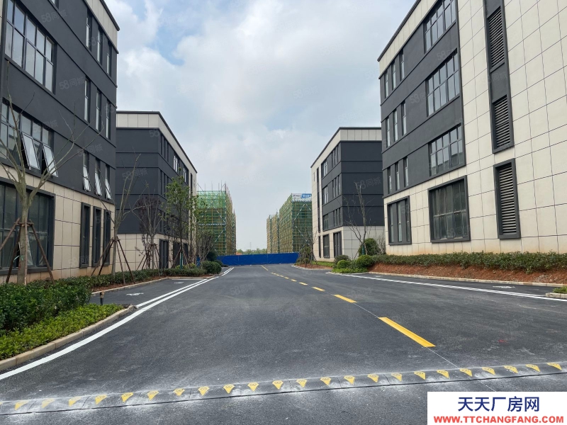 (出售) 南昌紅谷灘新區8.1米層高 花園式獨棟廠房 生活方便 出入便捷 現房