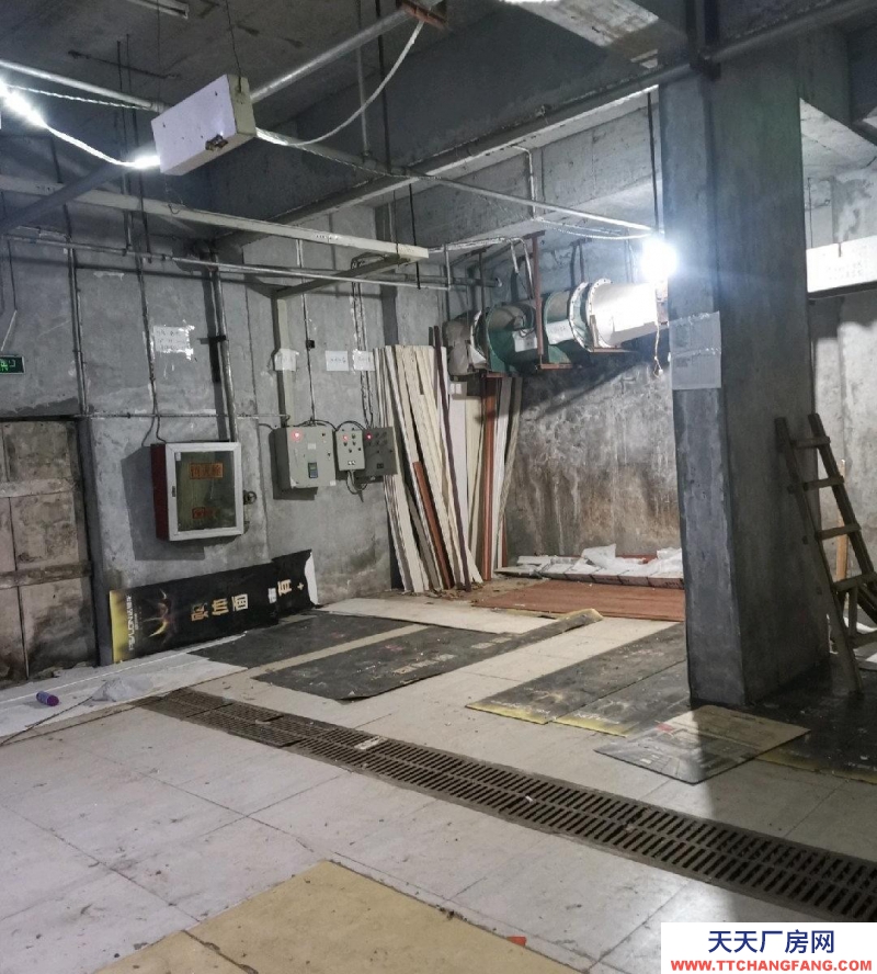 (出租) 南昌紅谷灘新區下室倉庫出租