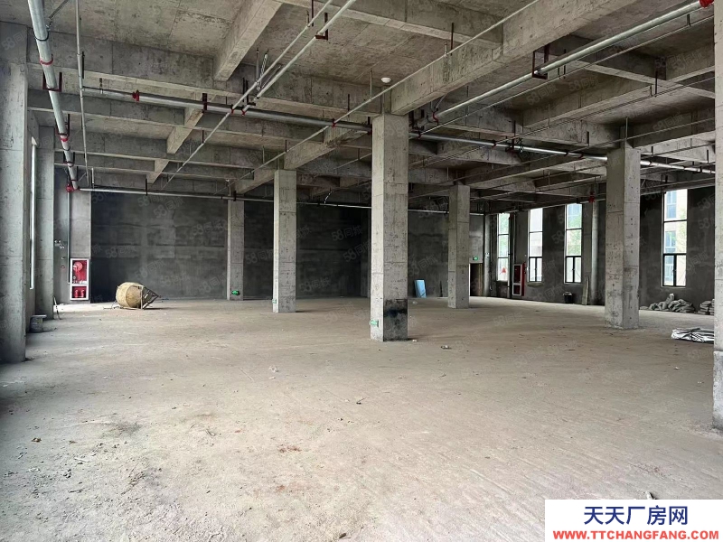 (出租) 南昌青山湖區東泰大道綜合樓1200平方廠房招租