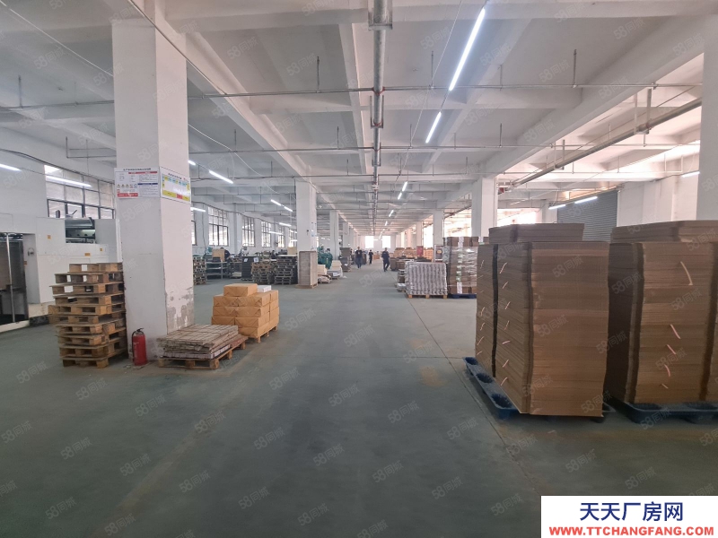 (出租) 南昌青山湖區廣州路標準廠房一樓出租