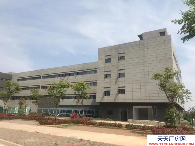 (出售) 南昌青山湖區出售青山湖區標準化廠房