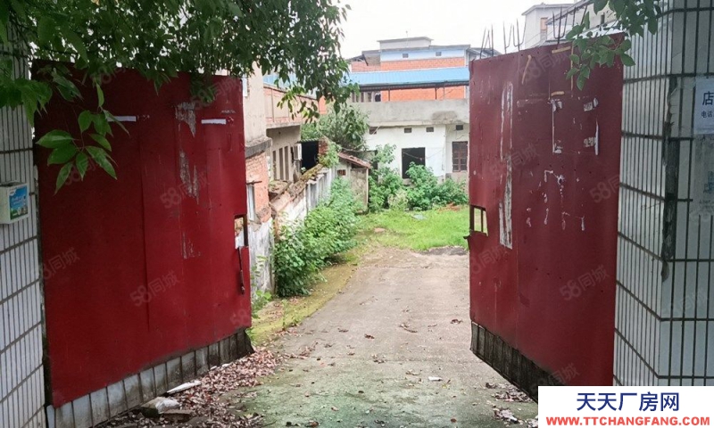 (出租)南昌東湖區揚子洲南江路村委會公交站獨院廠房倉庫出租