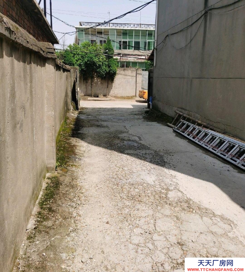 (出租) 南昌東湖區廠房1000平。可分租。進大車，距市中心5車程